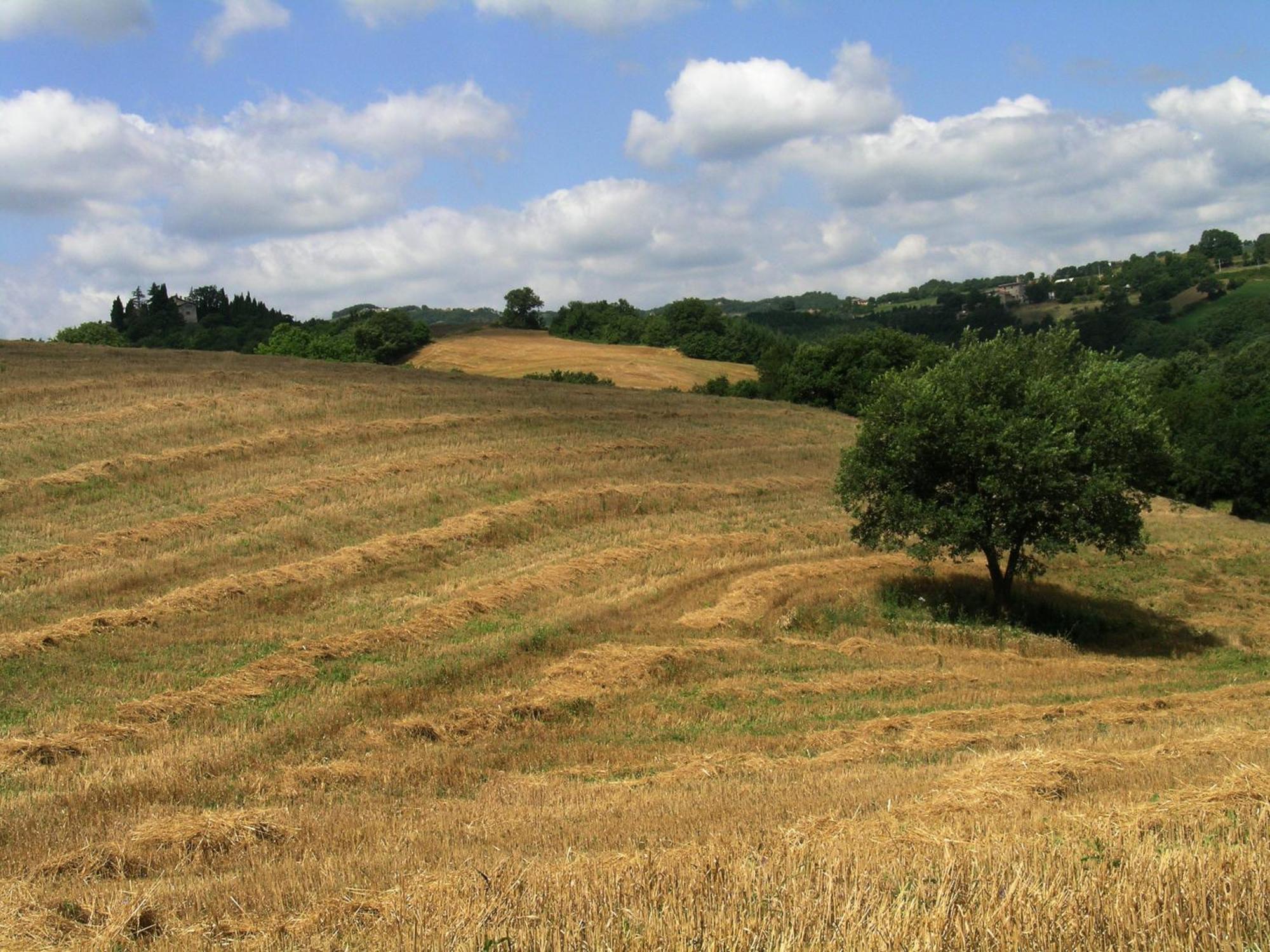 Azienda Agraria Montelujano Gubbio Exterior foto
